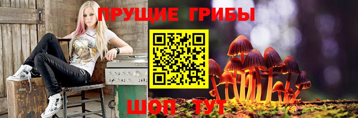 Галлюциногенные грибы мухоморы  Вход с VPN  Мариинск 