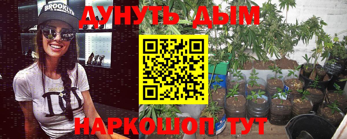Бошки Шишки Amnesia  Вход с VPN  Марихуана марихуана  Мариинск 